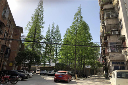 城北密丰嘉园2室1厅1卫72m2中档装修